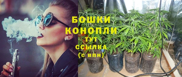 трава Козельск