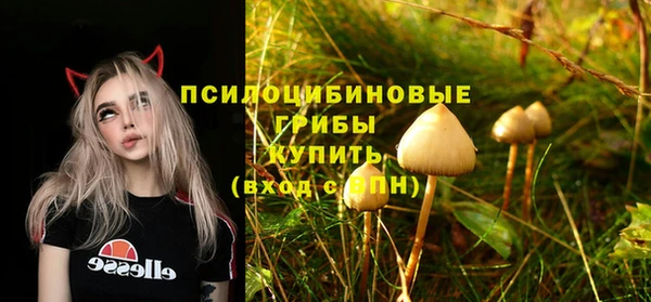 первитин Киренск