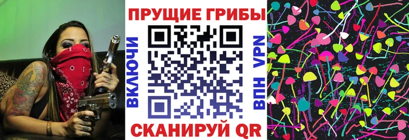 Псилоцибиновые грибы ЛСД  Купить где  Курчалой 
