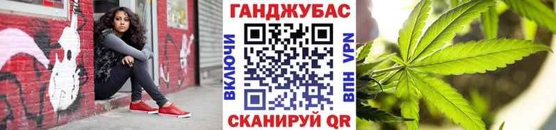 Купить закладки  Курчалой  Канабис сатива 